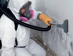 Why You Should Choose Our Mold Remediation Services in Jersey Shore, PA